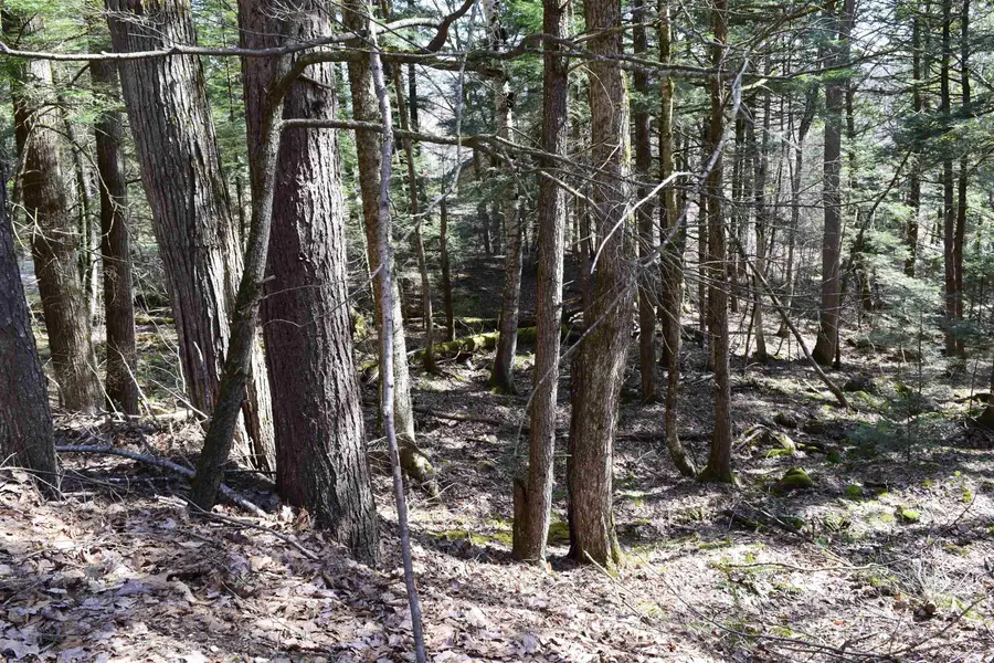 Lot 14 Hanover Drive, Haverhill, NH 03765 - #2