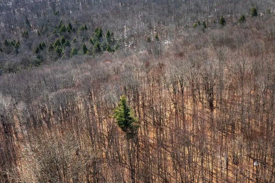 78 Captain Copeland Road #Lot 2, Dover, VT 05341 - #3