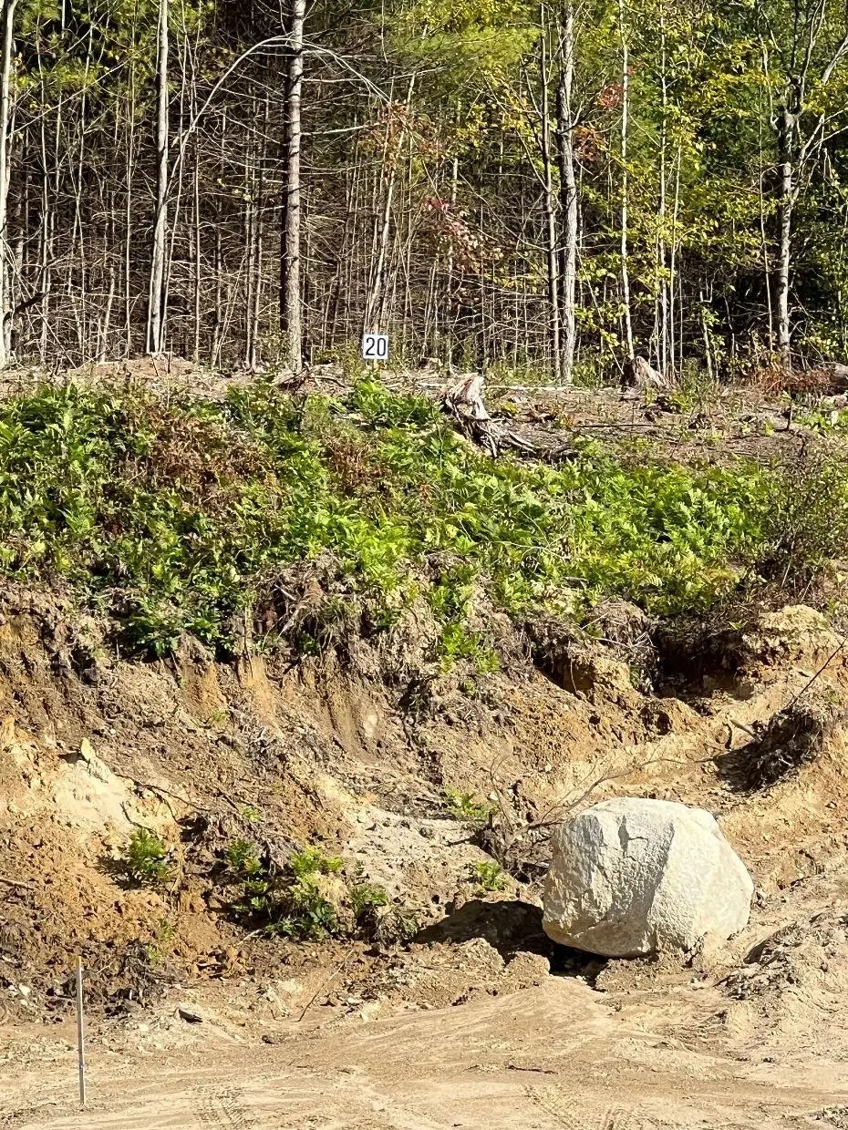 20 Hawthorne Road, Ossipee, NH 03864 - #1