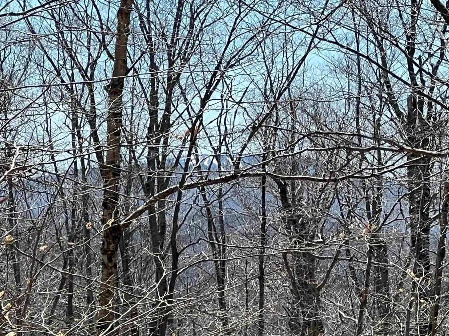 Forrester Road, Jamaica, VT 05343 - #2