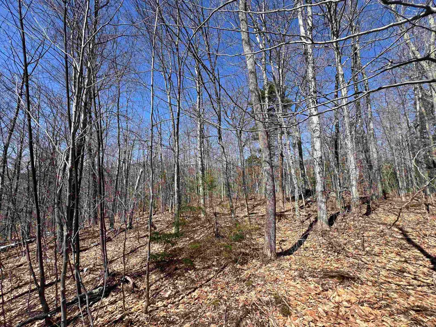 Forrester Road, Jamaica, VT 05343 - #3