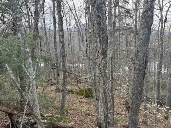 Lot 8 Barrows Towne Road, Killington, VT 05751