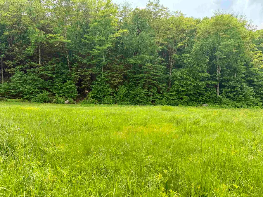 508 Mattson Road, Chester, VT 05143 - #3