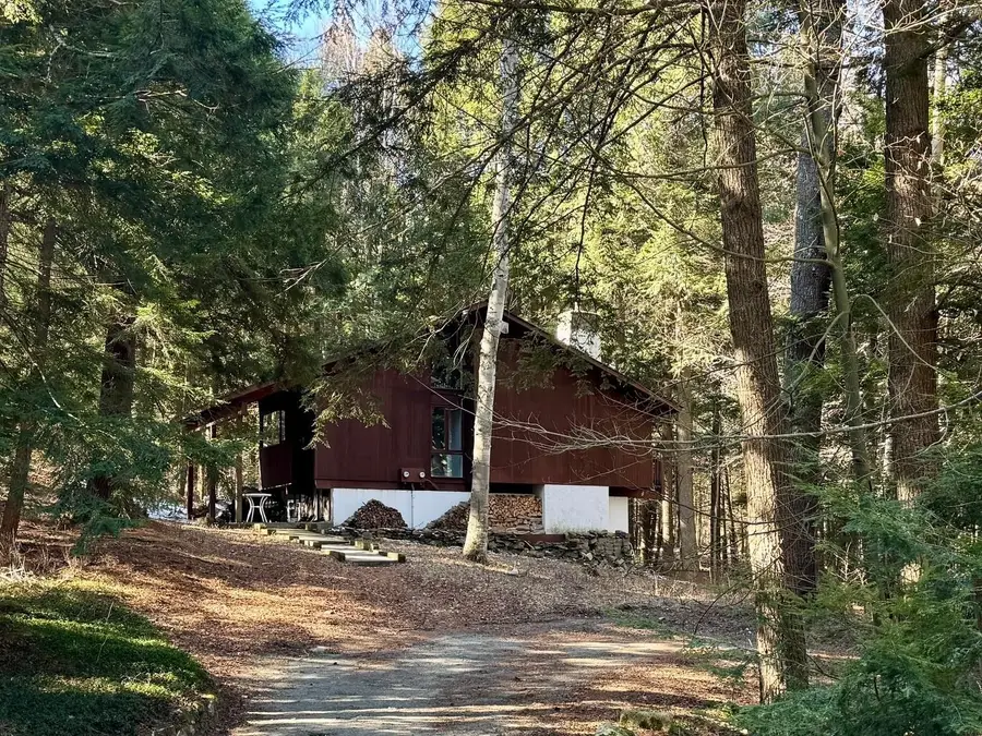 290 Village Lane, Brownsville, VT 05037 - #2