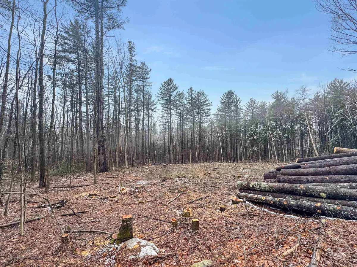 0 Hunt Road, Wardsboro, VT 05355 - #1