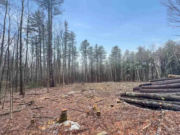 0 Hunt Road, Wardsboro, VT 05355