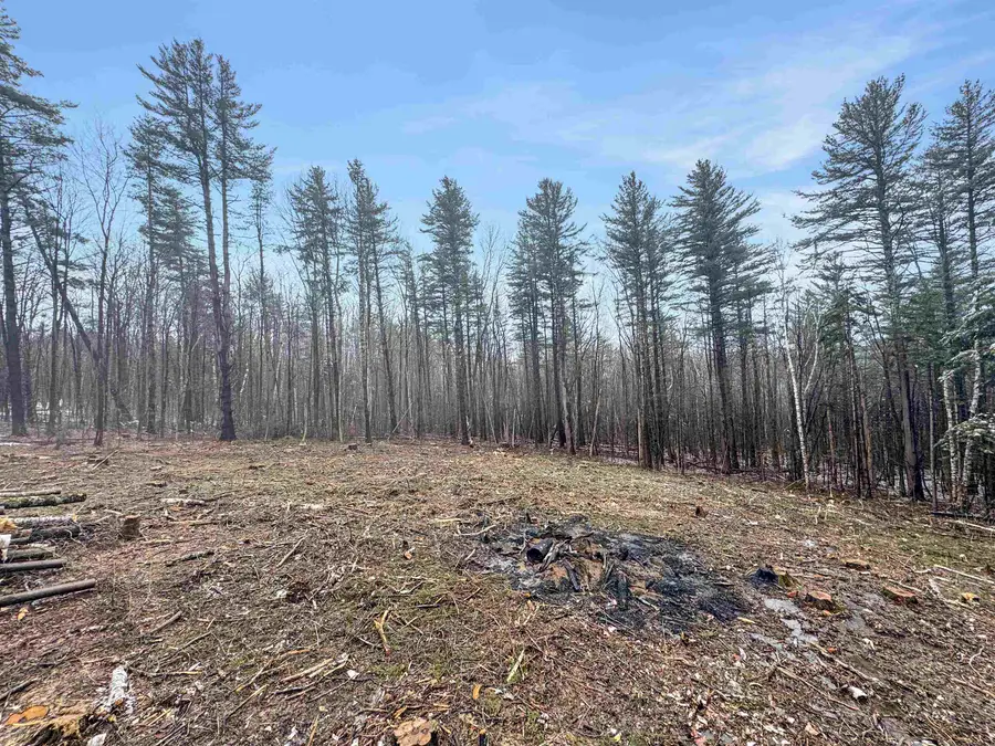 0 Hunt Road, Wardsboro, VT 05355 - #2