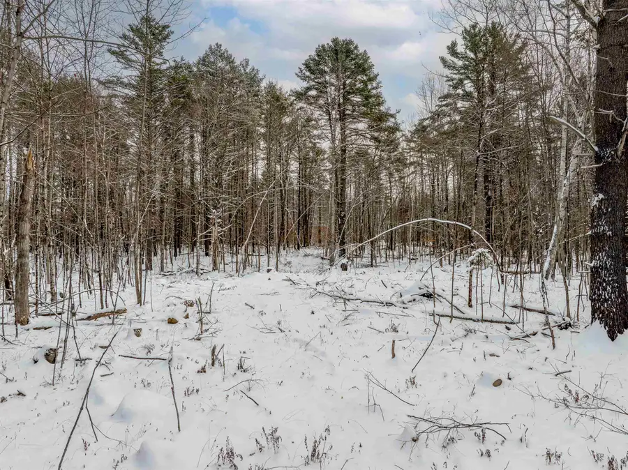 0 3.2 Bean Road, Plainfield, NH 03781 - #3