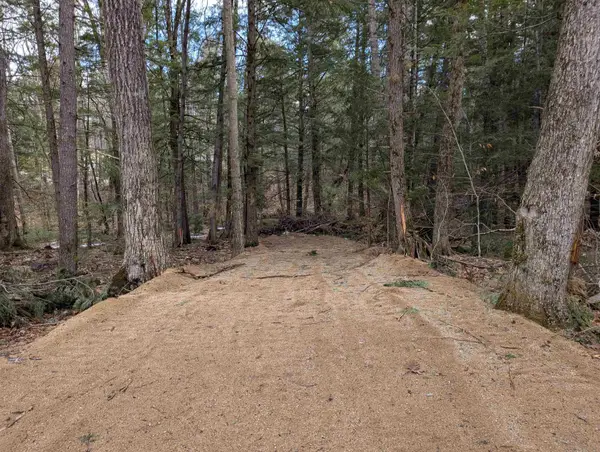 Lot 113/114 Rocky Lane, Tamworth, NH 03817