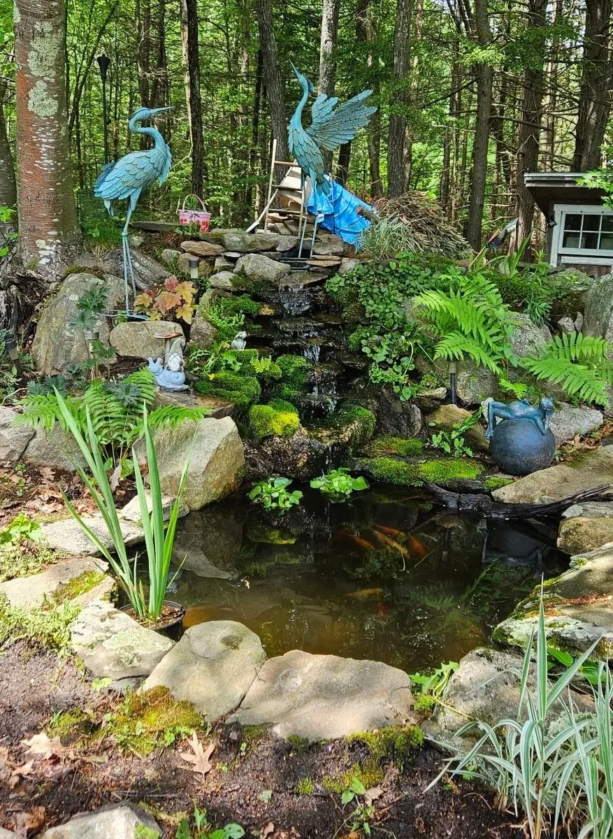 8 Jennifer Street, Danville, NH 03819 - #2