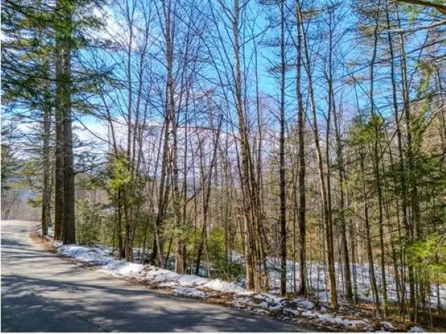 25 Mount Woodlands Road, Thornton, NH 03285 - #1