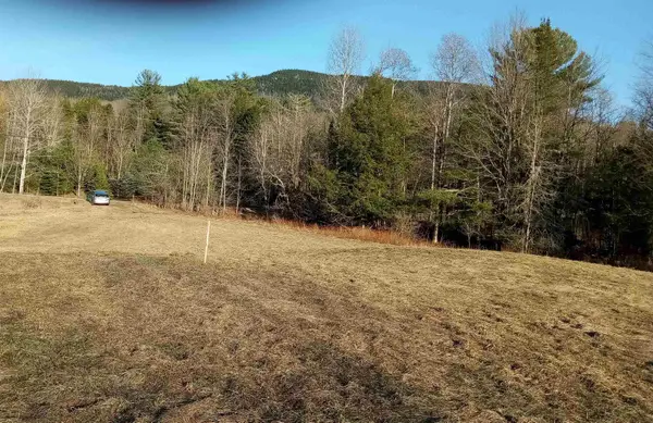 656 Lower Elmore Mt. Road #1, Morristown, VT 05661