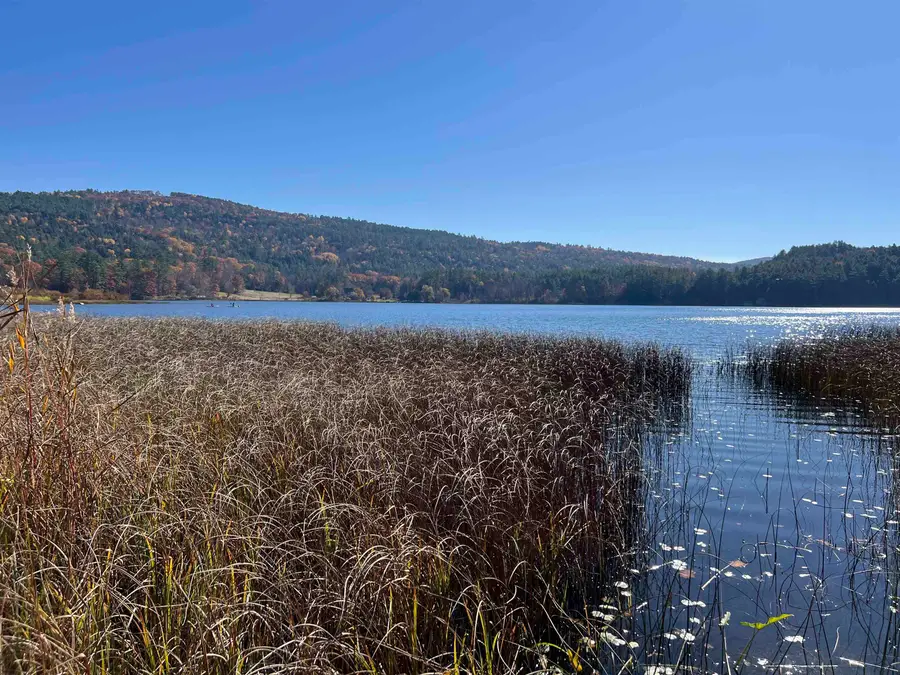 31 Post Pond Lane, Lyme, NH 03768 - #2