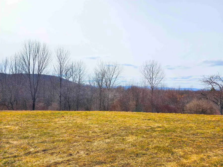 0 Applesauce Hill Road #3, Castleton, VT 05735 - #3