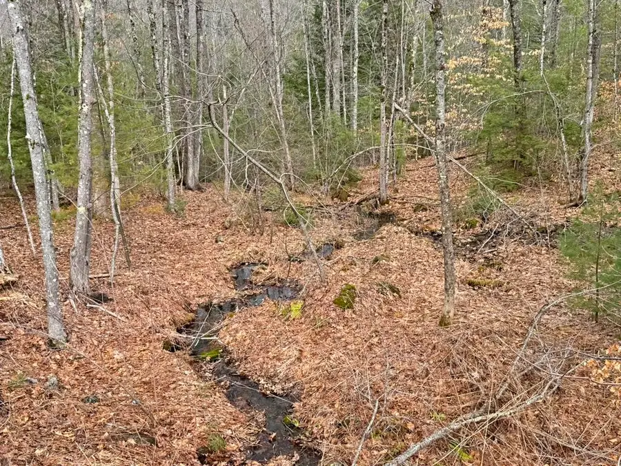 78 Hopper Road, Milton, NH 03851 - #2