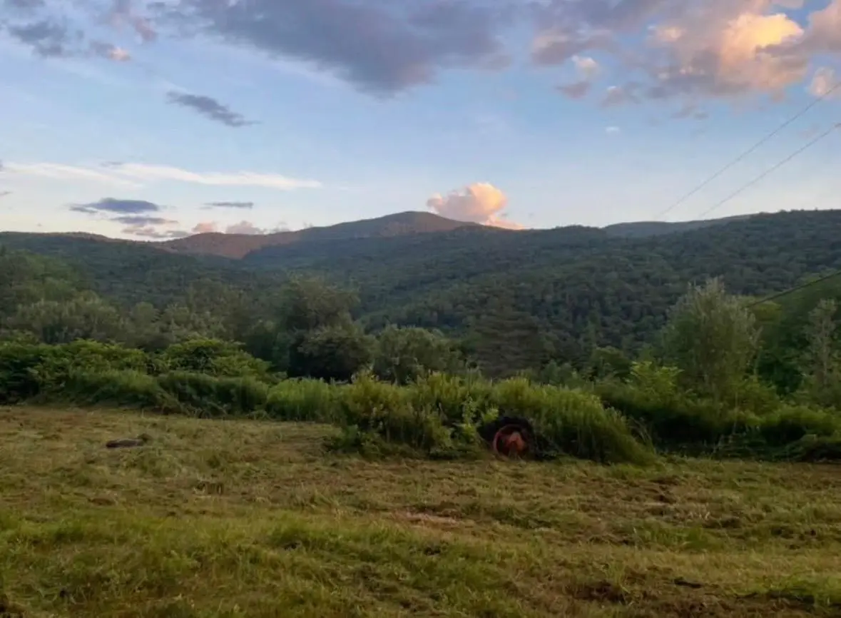 00 Fassett Hill, Hancock, VT 05748 - #1