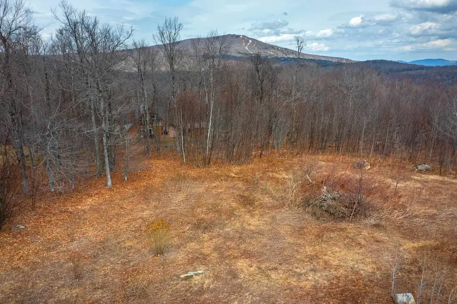 23 Moose Hollow Road #40, Winhall, VT 05340 - #3