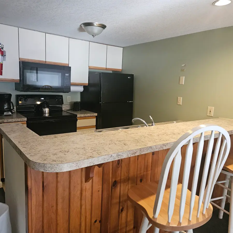 164 Deer Park Drive #161D, North Woodstock, NH 03262 - #2