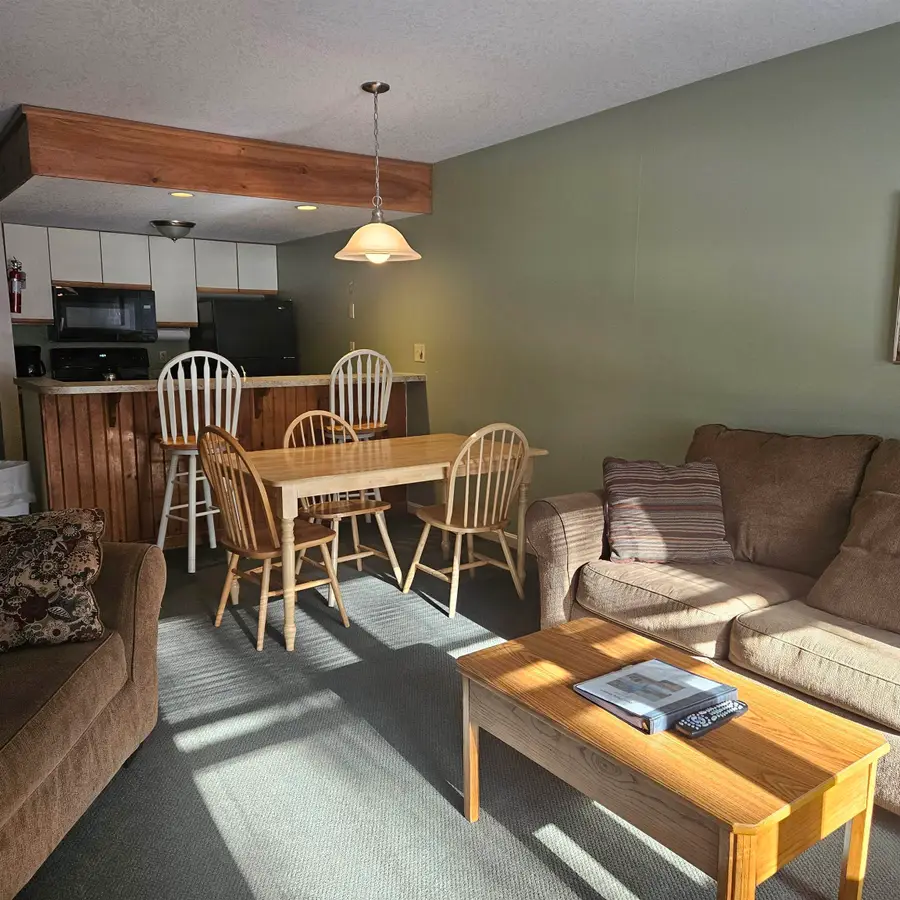 164 Deer Park Drive #161D, North Woodstock, NH 03262 - #3