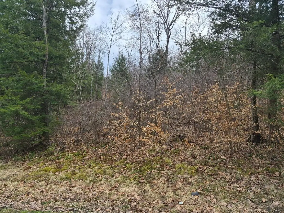Pond Road #1, Bellows Falls, VT 05346 - #1