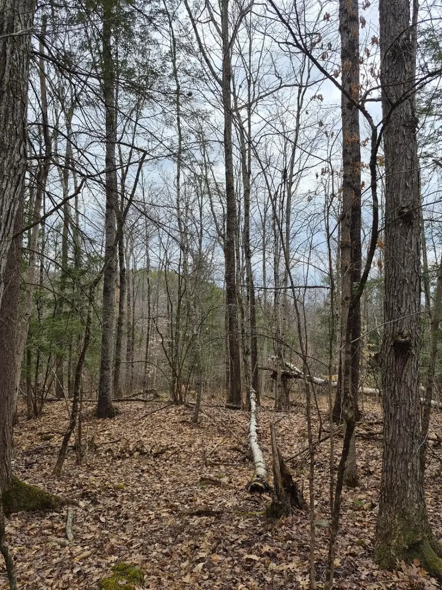 Pond Road #1, Bellows Falls, VT 05346 - #3