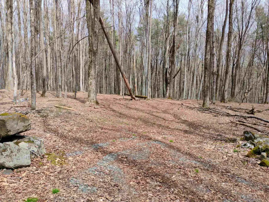 Lot 1 Faraway (Jones) Road, Putney, VT 05346 - #3