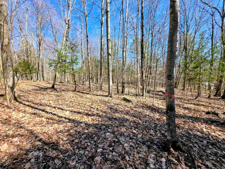 0000 Wildcat Drive #94, Haverhill, NH 03765 - #2