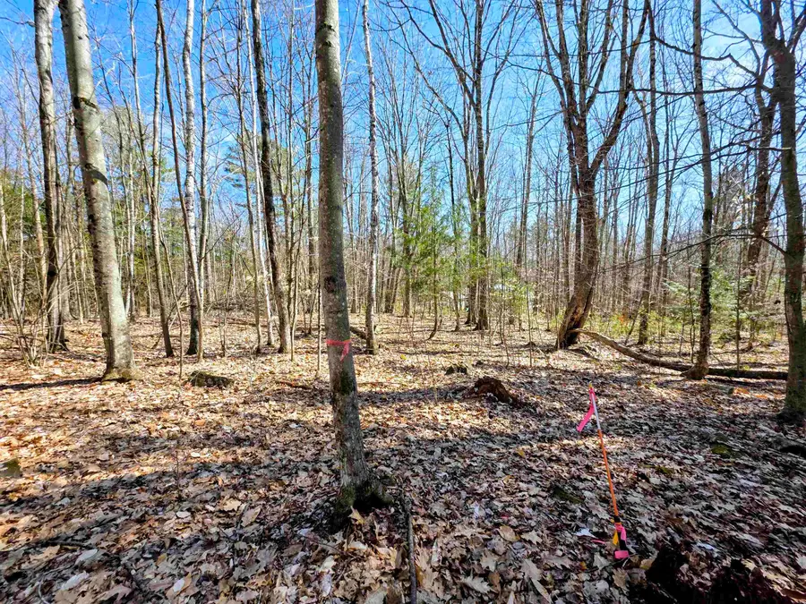 0000 Wildcat Drive #94, Haverhill, NH 03765 - #3