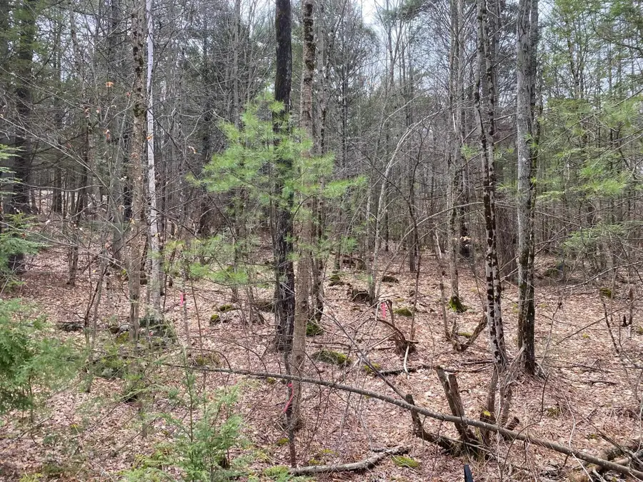 00 Winnipesaukee Drive, Wolfeboro, NH 03894 - #3