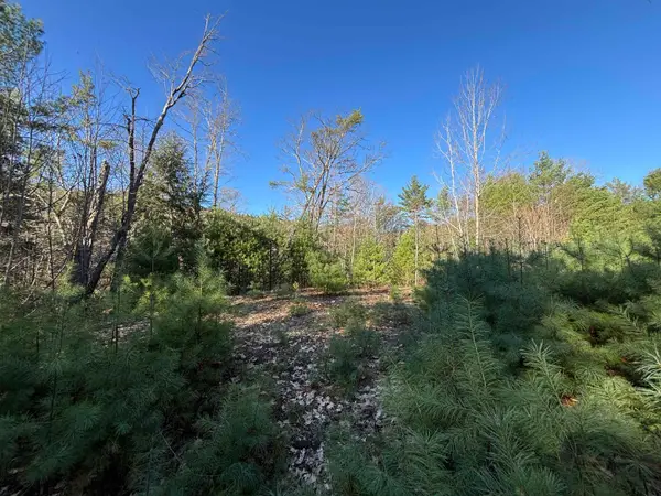 00 Simonsville Road #Lot 3, Andover, VT 05143