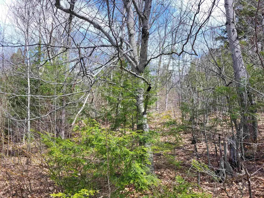 637 Sanborn Road #1, Sanbornton, NH 03269 - #3