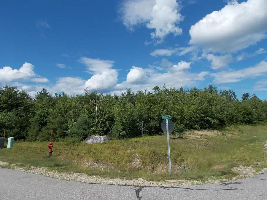 00 Grandview Road #Lot 98 on tree, Map 249-2, Conway, NH 03818 - #2