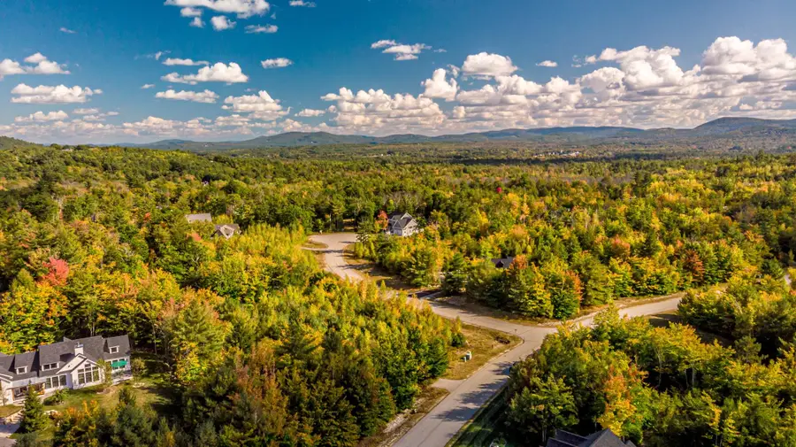 00 Grandview Road #Lot 98 on tree, Map 249-2, Conway, NH 03818 - #3