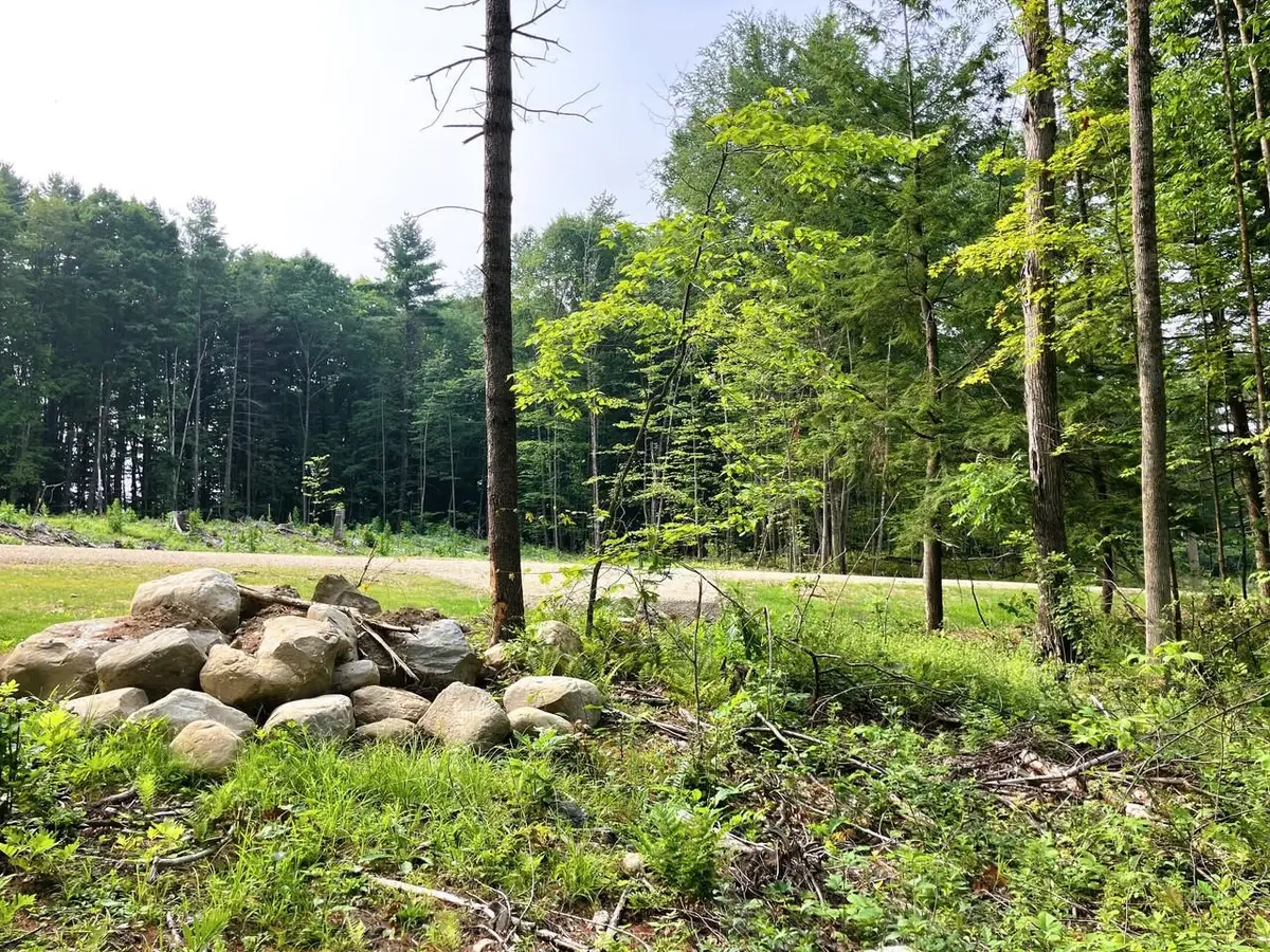 Lot 5 Fern Lake Road, Leicester, VT 05733 - #1