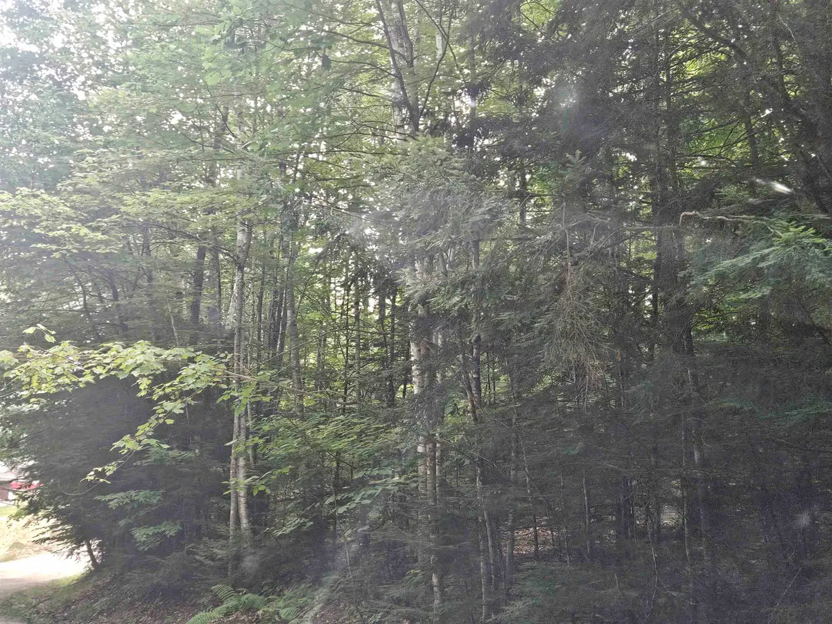 Lot 254 Kearsage Drive, Haverhill, NH 03765 - #1