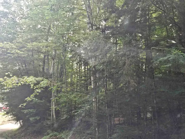 Lot 254 Kearsage Drive, Haverhill, NH 03765