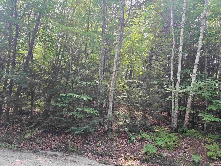 Lot 254 Kearsage Drive, Haverhill, NH 03765 - #2