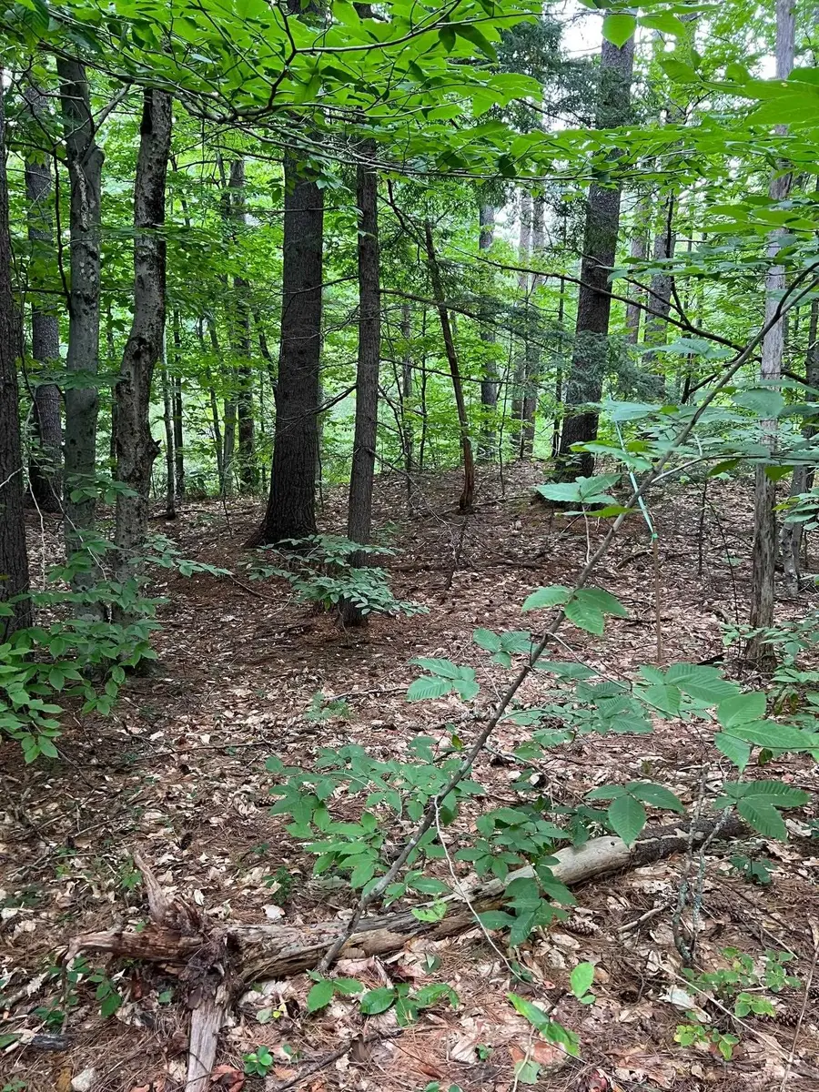 14 Little Loop Road #B218, Madison, NH 03849 - #3