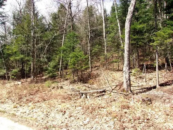 French Pond Road #165, Haverhill, NH 03785
