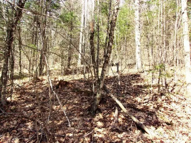 French Pond Road #165, Mountain Lakes, NH 03785 - #2