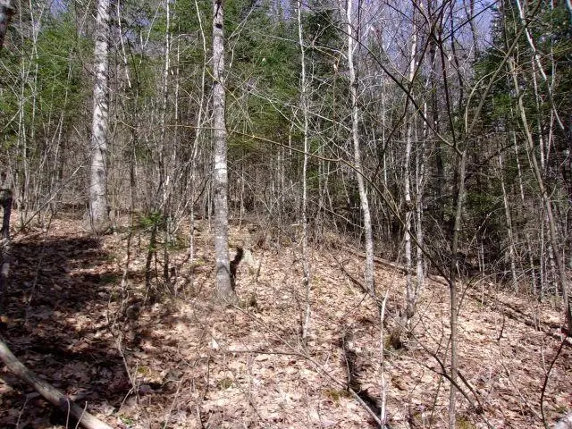French Pond Road #165, Mountain Lakes, NH 03785 - #3