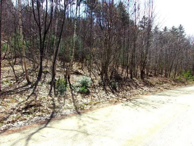 Swiftwater Circle #259, Mountain Lakes, NH 03785 - #2
