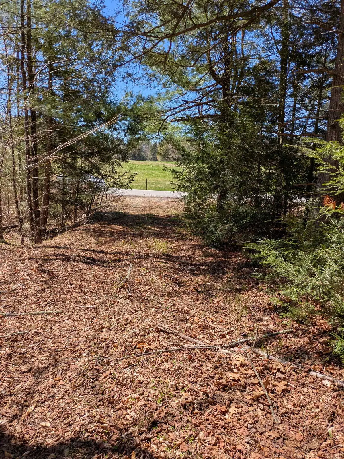 South Scofield Mountain Road, Winchester, NH 03470 - #1