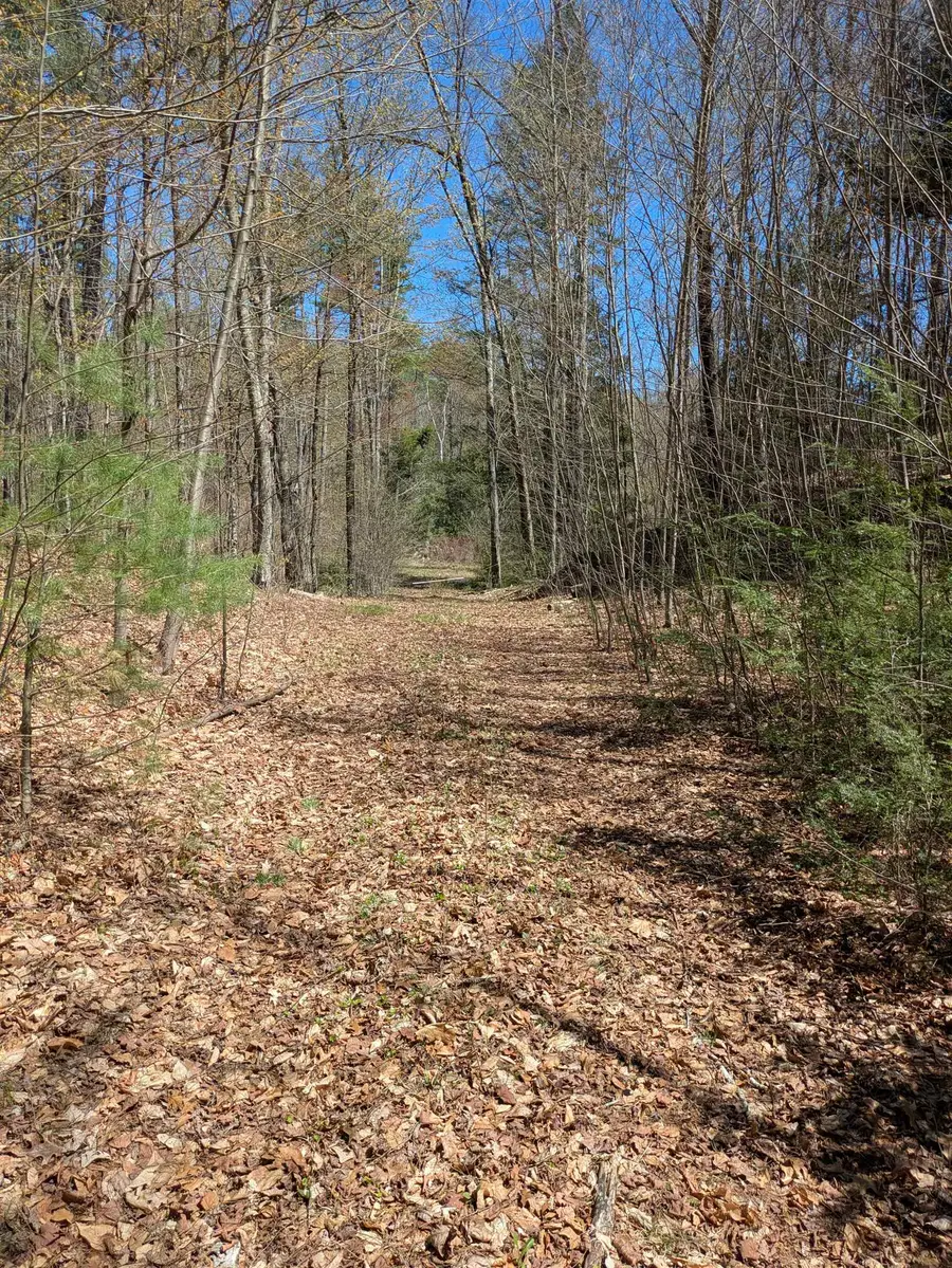 South Scofield Mountain Road, Winchester, NH 03470 - #2