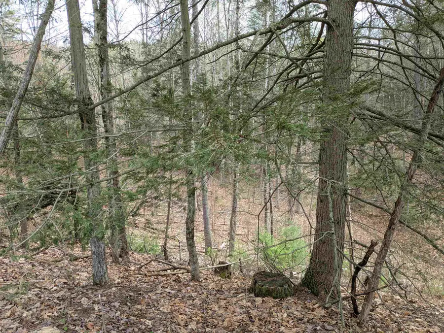 South Scofield Mountain Road, Winchester, NH 03470 - #3