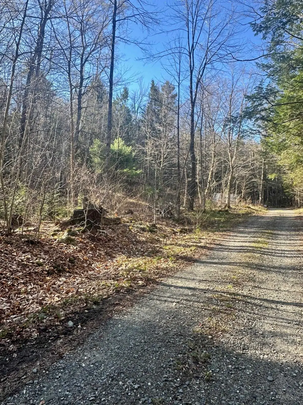 0 Hunter Brook Road, Marlboro, VT 05344 - #1