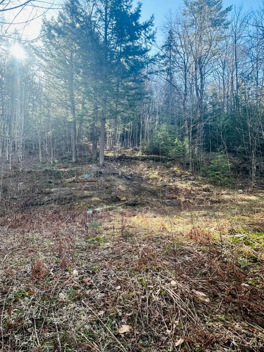0 Hunter Brook Road, Marlboro, VT 05344 - #2