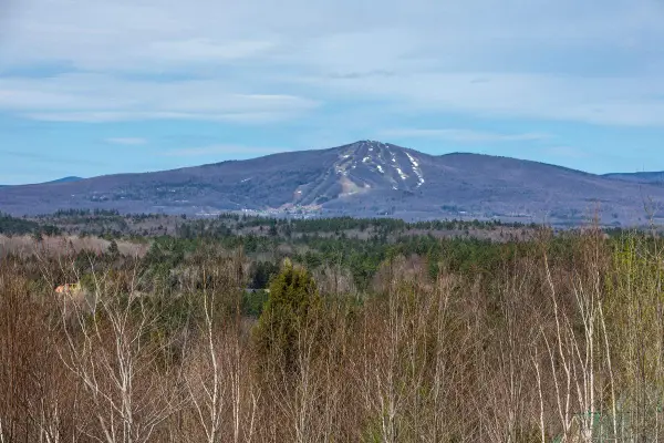 59 Garden Loop Road, Winhall, VT 05340