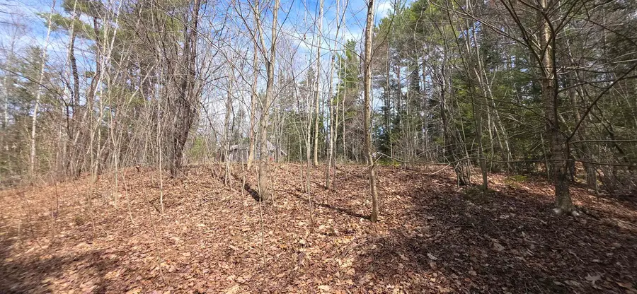 1715 New Hampshire Route 118, Dorchester, NH 03266 - #3