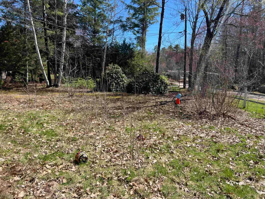 184 Birch Hill Road, Bridgewater, NH 03222 - #2